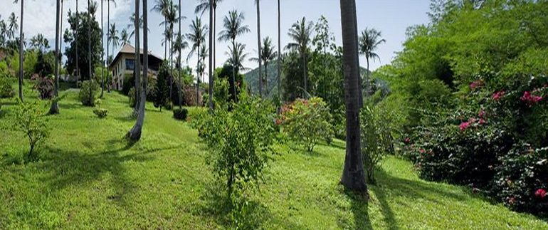 jardin_resize