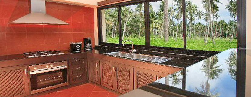 Bang Kao villa rental view kitchen_resize