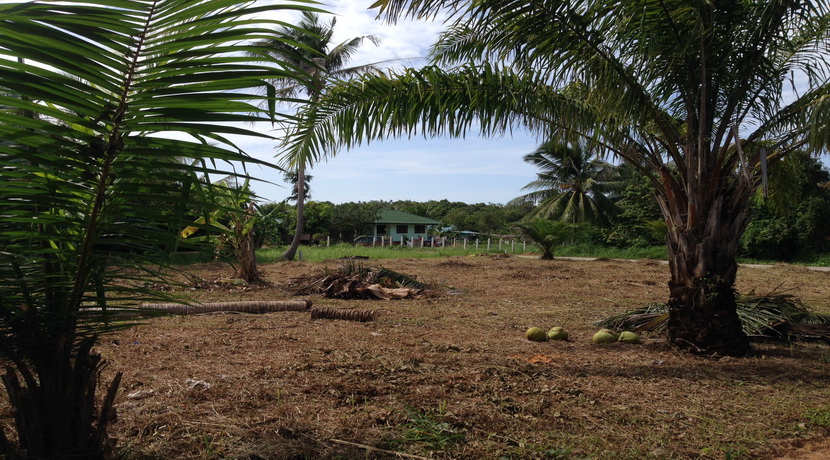 For sale land Chalok Baan Kao Koh Phangan