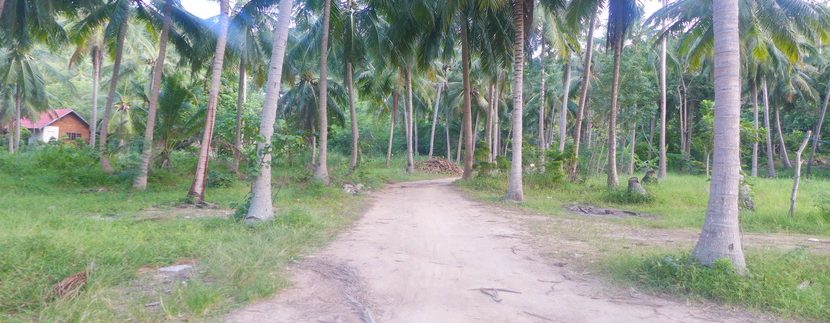 A vendre terrain Koh Phangan Thong Nai Pan (3)_resize