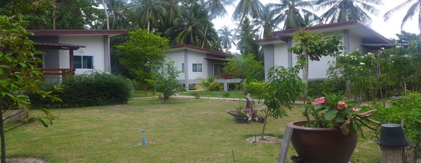 For sale land Maduawan Koh Phangan_resize