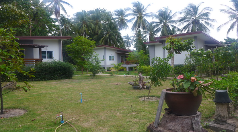 A vendre terrain Maduawan Koh Phangan 2 rai avec 5 maisons