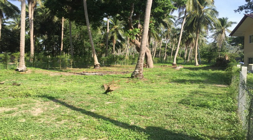 Vente terrain Koh Phangan Wok Tum