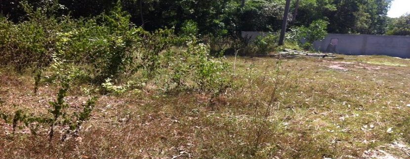 A vendre terrain Namuang Koh Samui plot 500 m²_resize