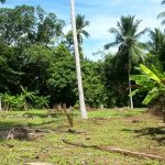 For sale land Koh Samui Lipa Noi