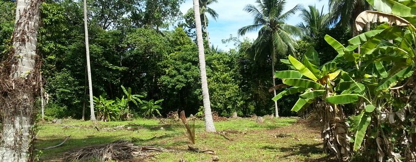 For sale land Koh Samui Lipa Noi 0001