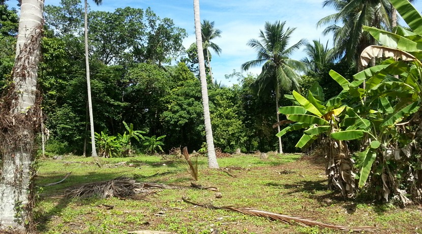 For sale land Koh Samui Lipa Noi