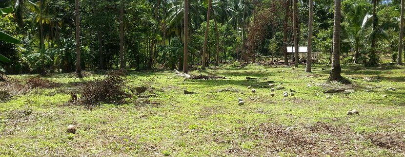 For sale land Koh Samui Lipa Noi 0003