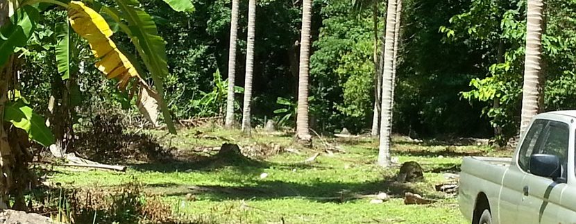 For sale land Koh Samui Lipa Noi 0004