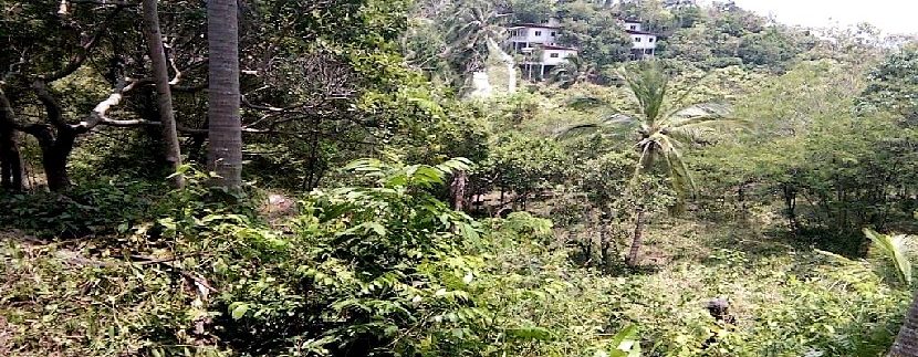 A vendre terrain Ban Tai Koh Phangan 0006