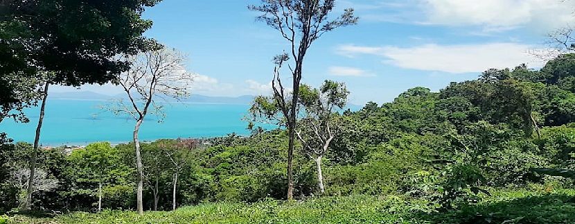 A vendre terrain Bang Por Koh Samui 0009