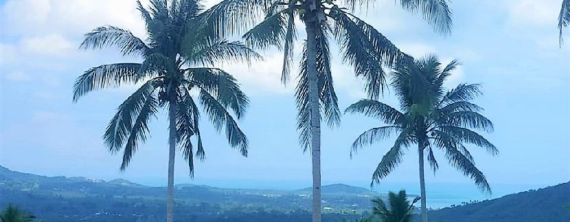 For sale land Bophut Koh Samui0007