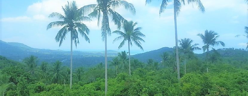 For sale land Bophut Koh Samui0009