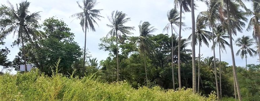 For sale land Maenam Koh Samui 05