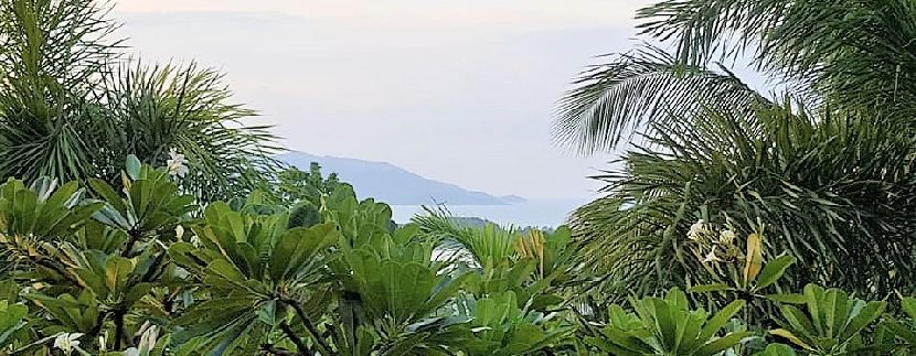 For sale land Plai Laem Koh Samui 0005