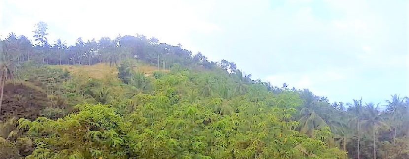 Terrain Chaweng Noi Koh Samui 0003