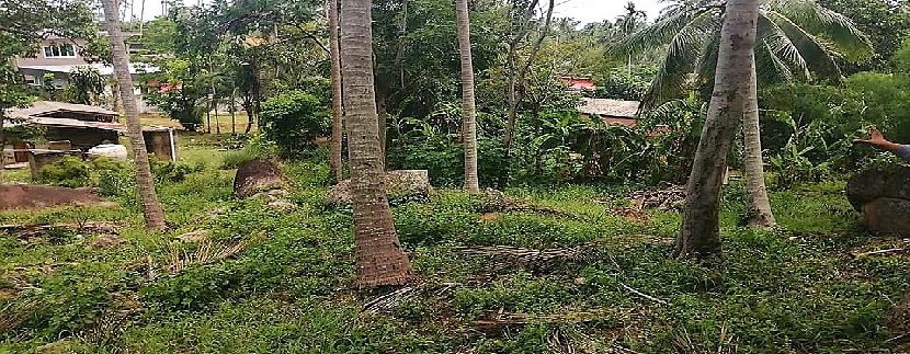 For sale land Lamai Koh Samui 0001