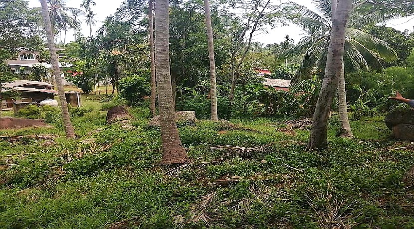 For sale land Lamai