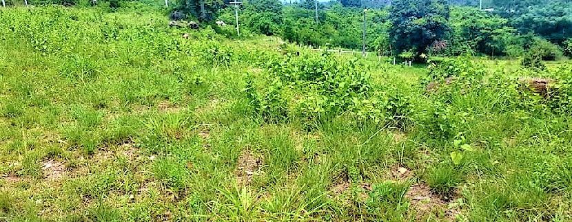 For sale building land with sea view Bophut Koh Samui 0004