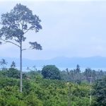 For sale building land with sea view Bophut Koh Samui