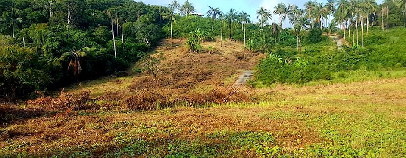 A vendre terrain à Bophut Koh Samui 0013