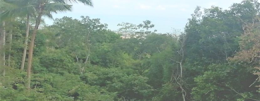 For sale Chaweng Hill land Koh Samui with sea view 0003