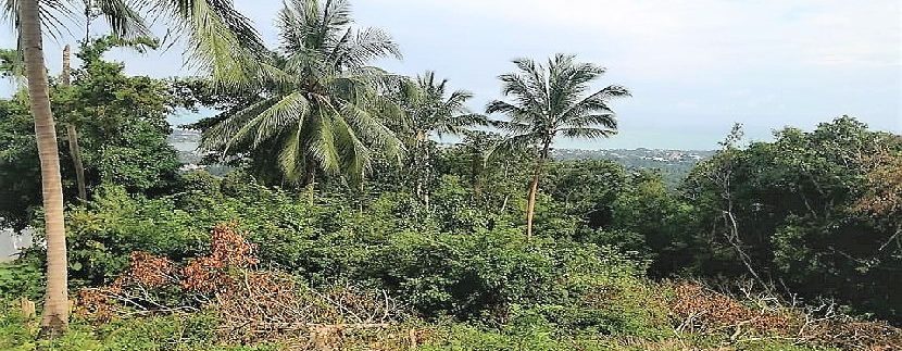 For sale Chaweng Hill land Koh Samui with sea view 0004