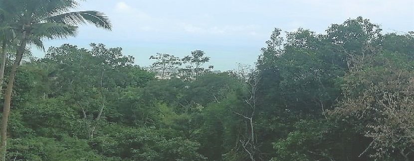 For sale Chaweng Hill land Koh Samui with sea view 0007