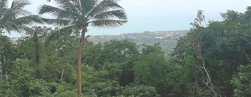 For sale Chaweng Hill land Koh Samui with sea view 0008