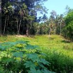 For sale land Lamai Koh Samui