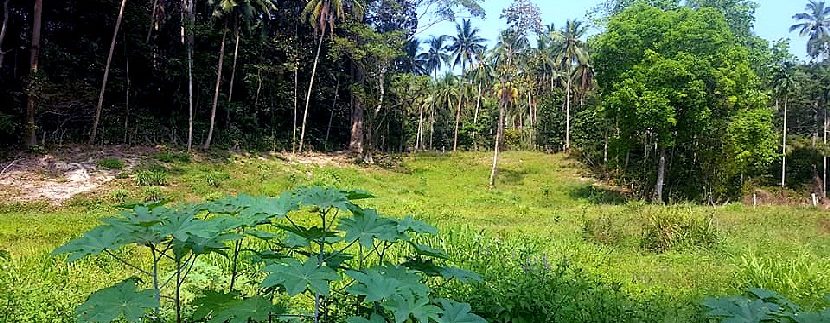 For sale land Lamai Koh Samui 0010