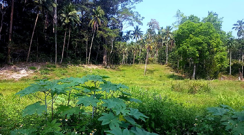 For sale land Lamai Koh Samui