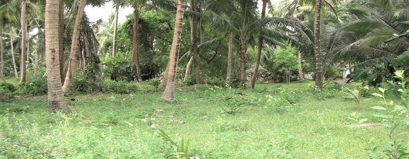 Taling Ngam Koh Samui land for sale 001