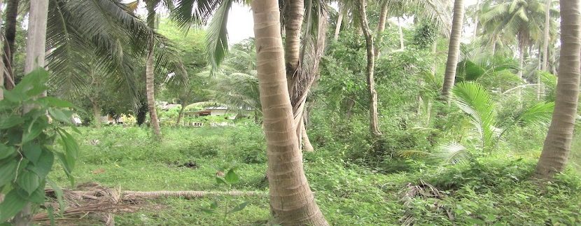 Taling Ngam Koh Samui land for sale 004