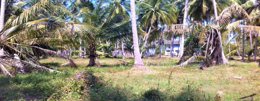 Taling Ngam Koh Samui land for sale 006