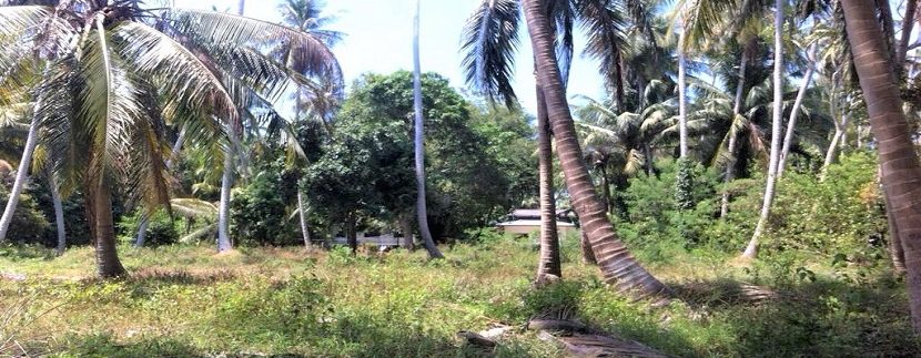 Taling Ngam Koh Samui land for sale 007