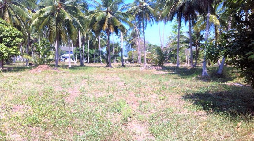 Land Taling Ngam Koh Samui for sale - 3.764 m² - near the beach
