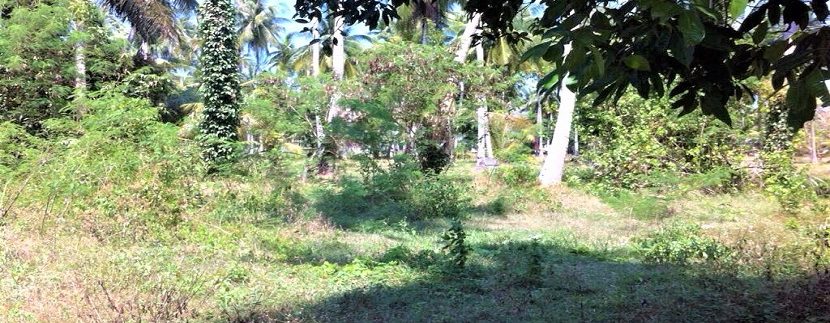 Taling Ngam Koh Samui land for sale 010