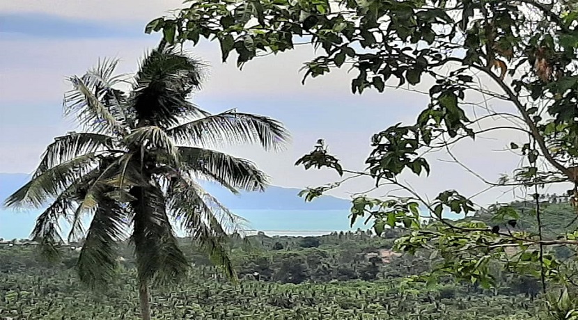 Terrain vue mer Maenam à Koh Samui