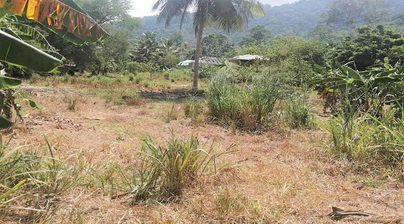 For sale land in Lamai Koh Samui - 10.400 sqm - flat - Chanote