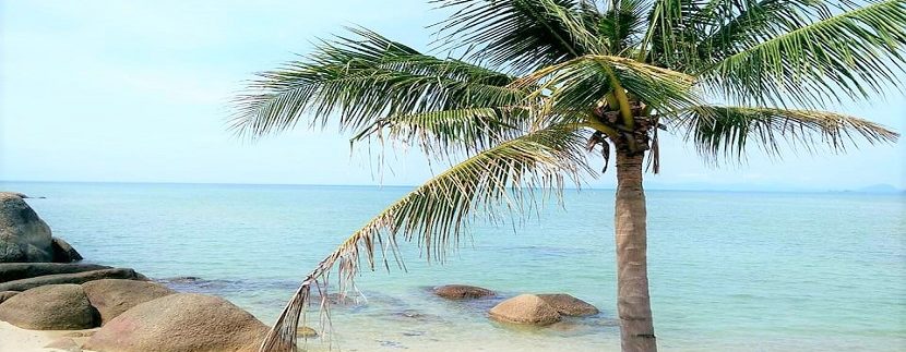 For sale beachfront land Lamai Koh Samui 05