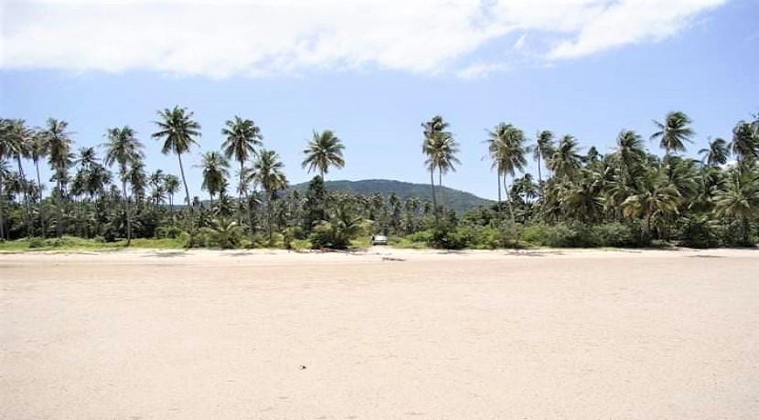 Land for sale Bang Kao Koh Samui - 9.408 sqm at 80 m from the beach