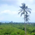 Bophut land with sea view for sale Koh Samui