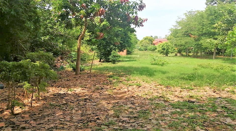 Choeng Mon Koh Samui land for sale - 1.600 sqm - Flat - Chanote