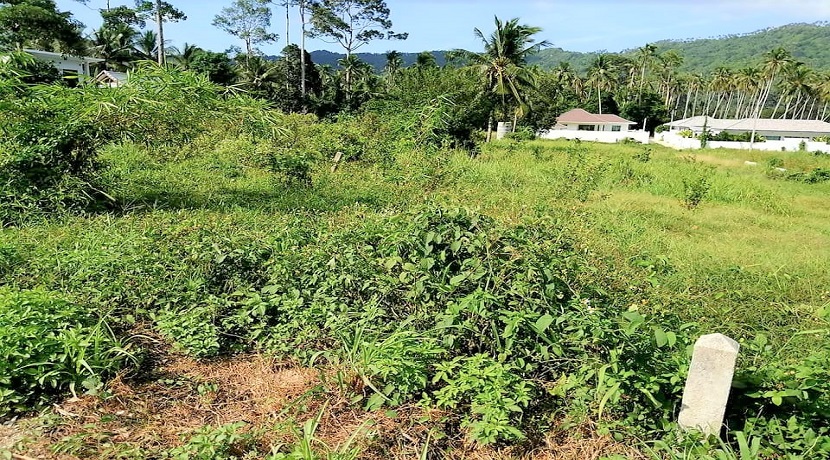 Terrain Lamai Koh Samui à vendre – 800 m² en Chanote