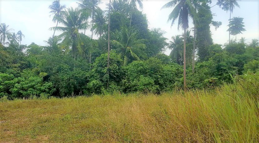For sale land in Bang Kao Koh Samui 250 m from the beach - 750 m²