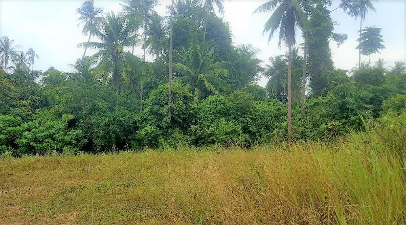 For sale land in Bang Kao Koh Samui