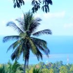 For sale sea view land Lamai in Koh Samui