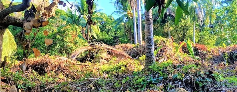 A vendre terrain vue mer Lamai à Koh Samui 010