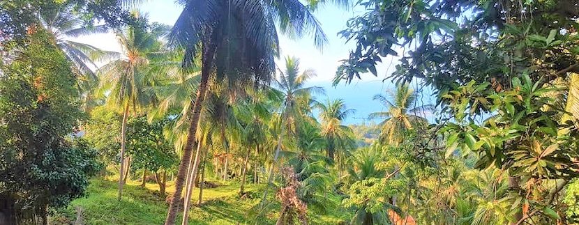 For sale sea view land Lamai in Koh Samui 013